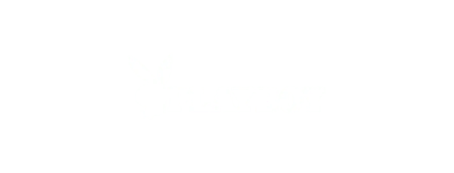 Layer-22.png